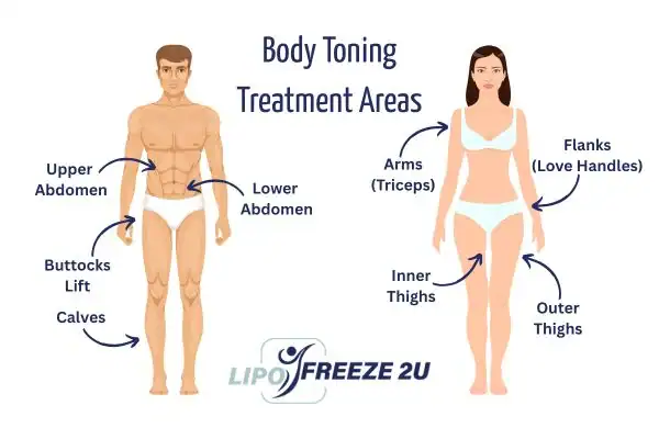 Graphic showing where you can have Body toning Treatment Cardiff on your body